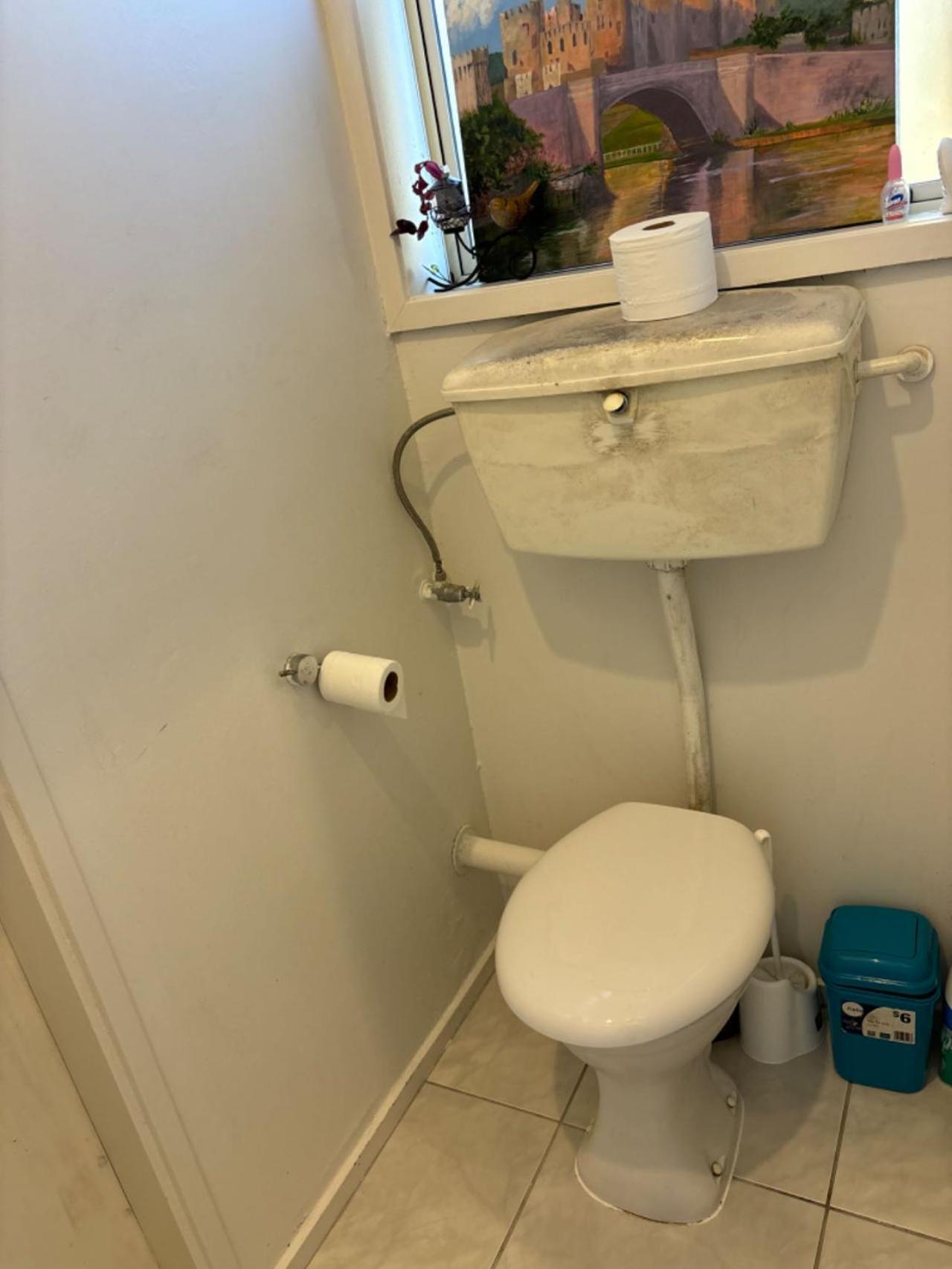 Epsom Red House Villa Auckland Dış mekan fotoğraf