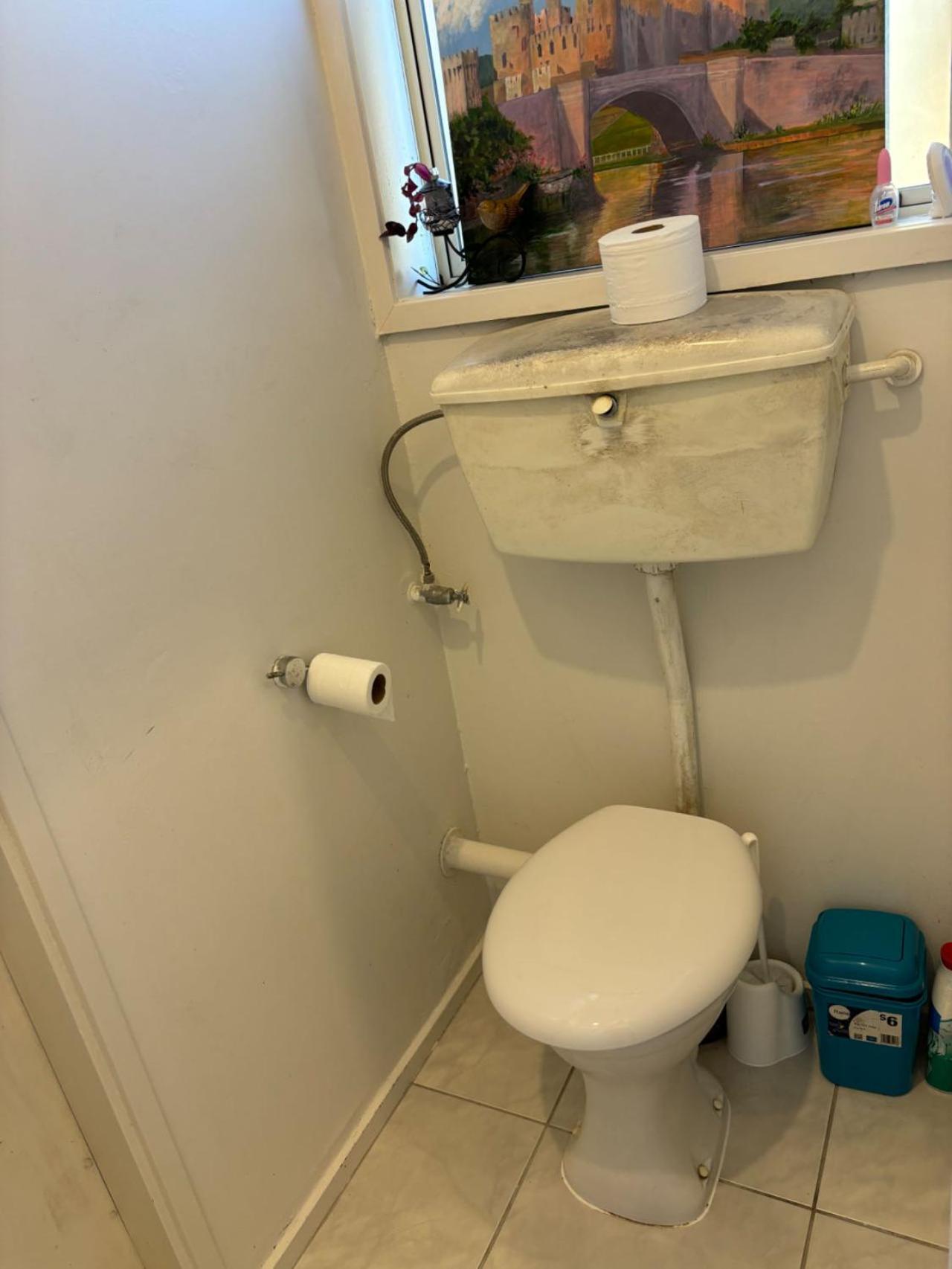 Epsom Red House Villa Auckland Dış mekan fotoğraf